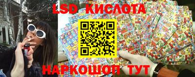 гидра Владимир