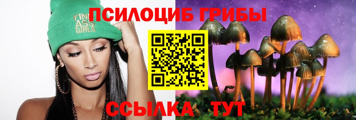 Галлюциногенные грибы GOLDEN TEACHER  Вход с VPN  Бийск 